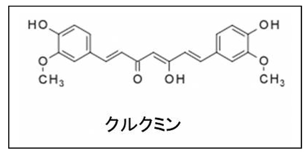 東海地域生物系先端技術研究会 読み物コーナー ～野菜の魅力～ ショウガの仲間