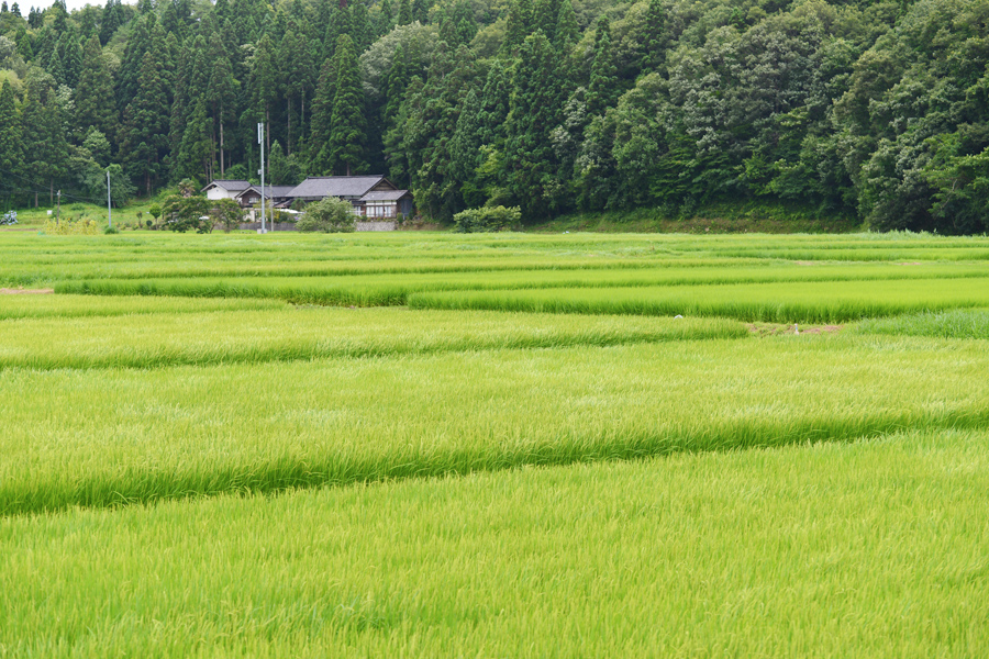 平成25年度第1回セミナー 東海地域生物系先端技術研究会